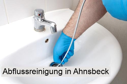 Abflussreinigung in Ahnsbeck