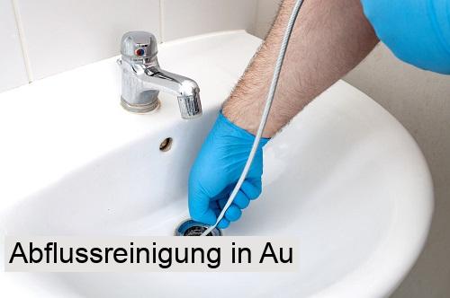 Abflussreinigung in Au