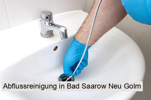 Abflussreinigung in Bad Saarow Neu Golm