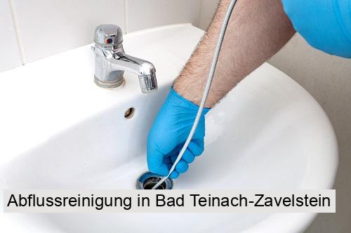 Abflussreinigung in Bad Teinach-Zavelstein
