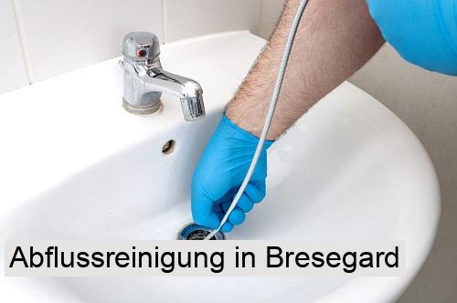 Abflussreinigung in Bresegard