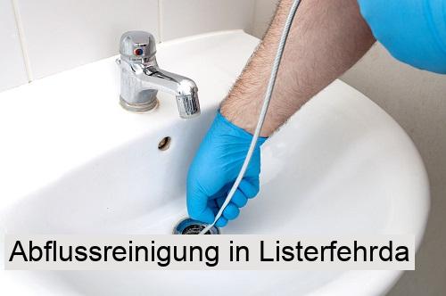 Abflussreinigung in Listerfehrda