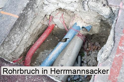 Rohrbruch in Herrmannsacker