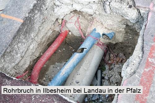 Rohrbruch in Ilbesheim bei Landau in der Pfalz