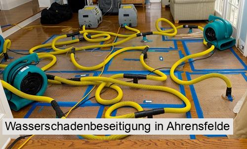 Wasserschadenbeseitigung in Ahrensfelde