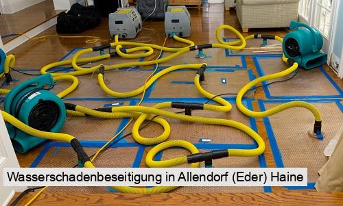 Wasserschadenbeseitigung in Allendorf (Eder) Haine