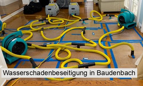Wasserschadenbeseitigung in Baudenbach