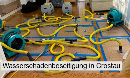 Wasserschadenbeseitigung in Crostau