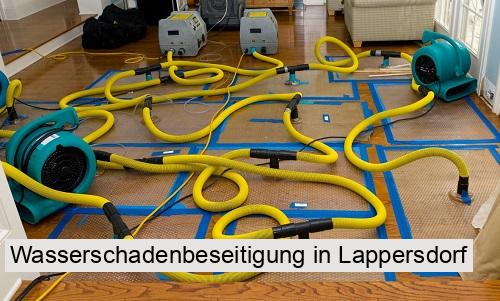 Wasserschadenbeseitigung in Lappersdorf