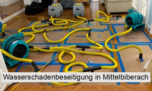 Wasserschadenbeseitigung in Mittelbiberach