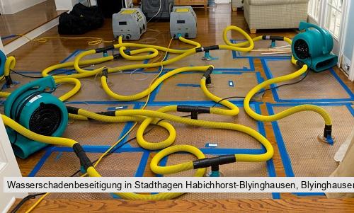 Wasserschadenbeseitigung in Stadthagen Habichhorst-Blyinghausen, Blyinghausen